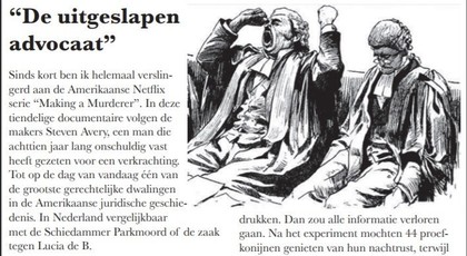 Column - De uitgeslapen advocaat